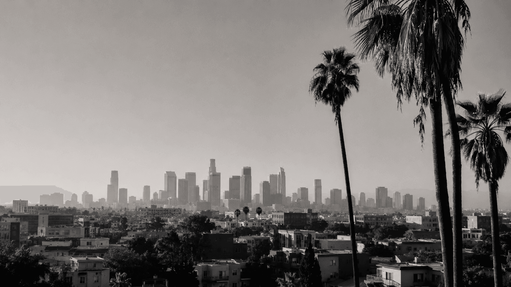 The downtown Los Angeles skyline in black and white, framed by tall palm trees